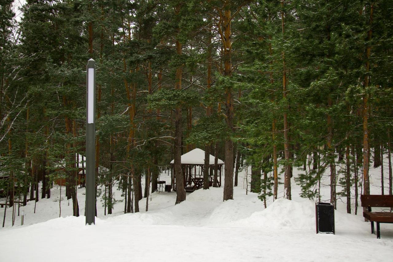 Park House Hotel Barmashino Buitenkant foto